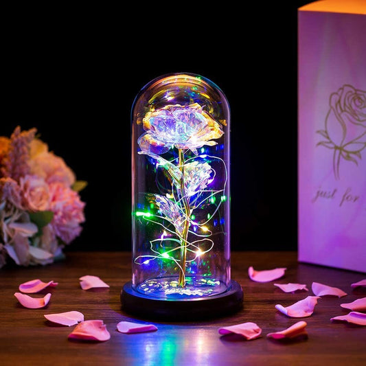 Valentine’s Day Flower Dome with LED Light – Romantic Gift”
