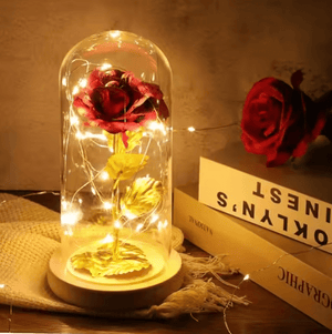 Valentine’s Day Flower Dome with LED Light – Romantic Gift”
